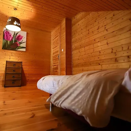 Szum Muzy Rus Mala 펜션 오스트로다