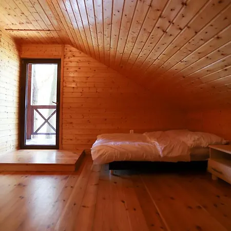 Szum Muzy Rus Mala 오스트로다